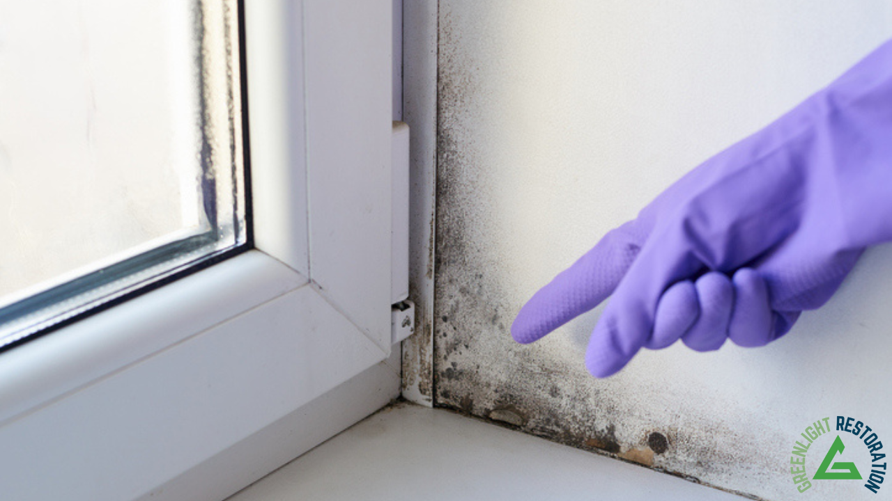 Why Mold Inspection and Testing Matter in Flower Mound, TX